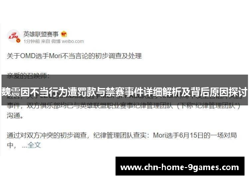魏震因不当行为遭罚款与禁赛事件详细解析及背后原因探讨